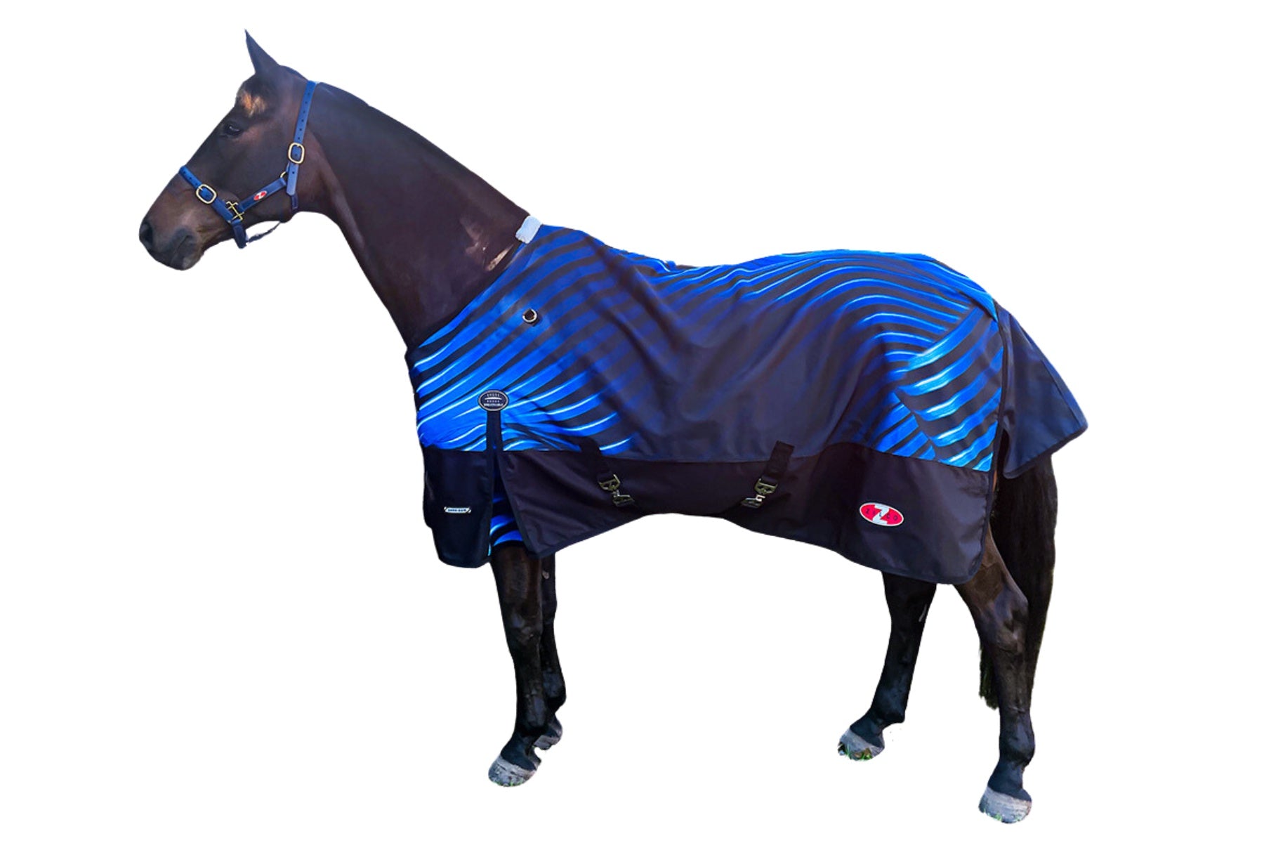 Zilco Crusader Rug