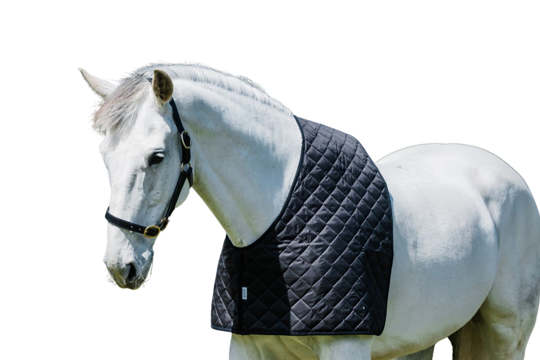 Flair Quilted Nylon Anti Rub Vest