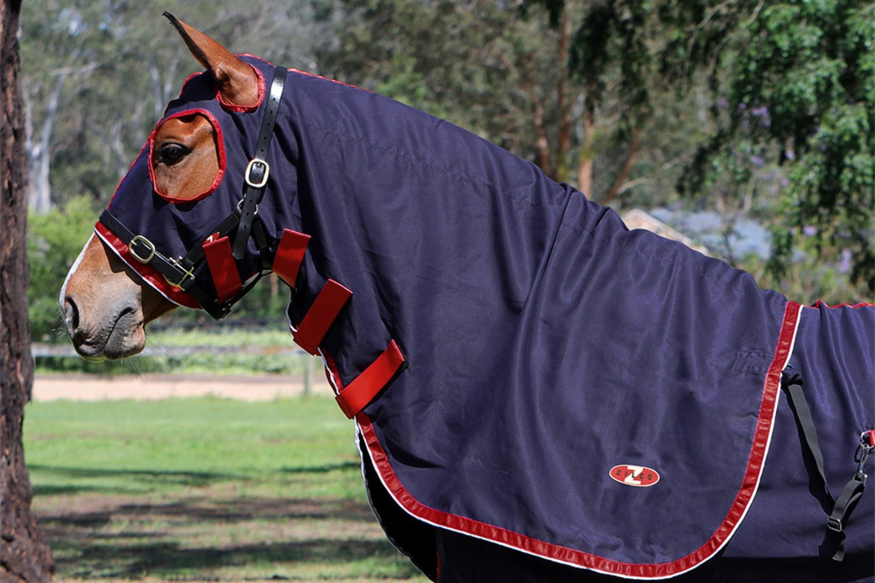 Show Circuit Hood
