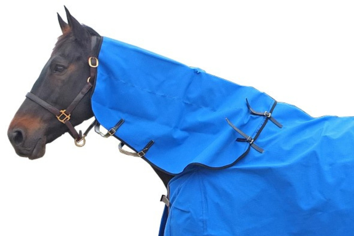 Flair Equitex 12oz Canvas Neck Cover