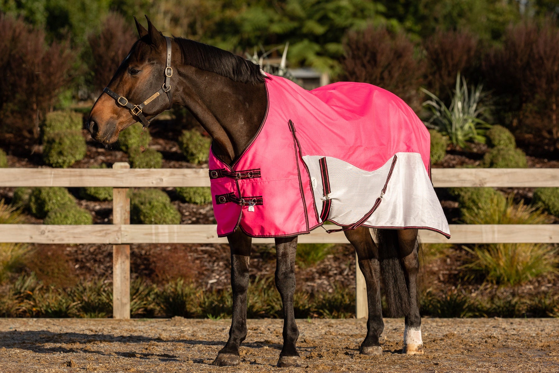 WaterProof Mesh CrossOver Standard Neck Pink