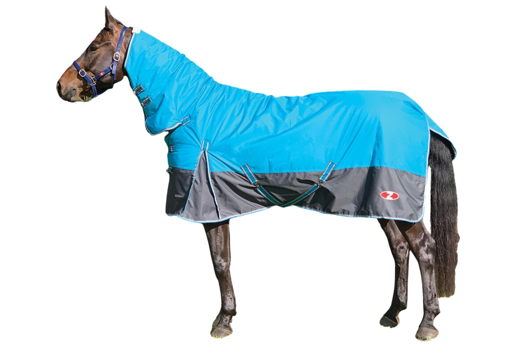 Zilco Explorer 600d Combo