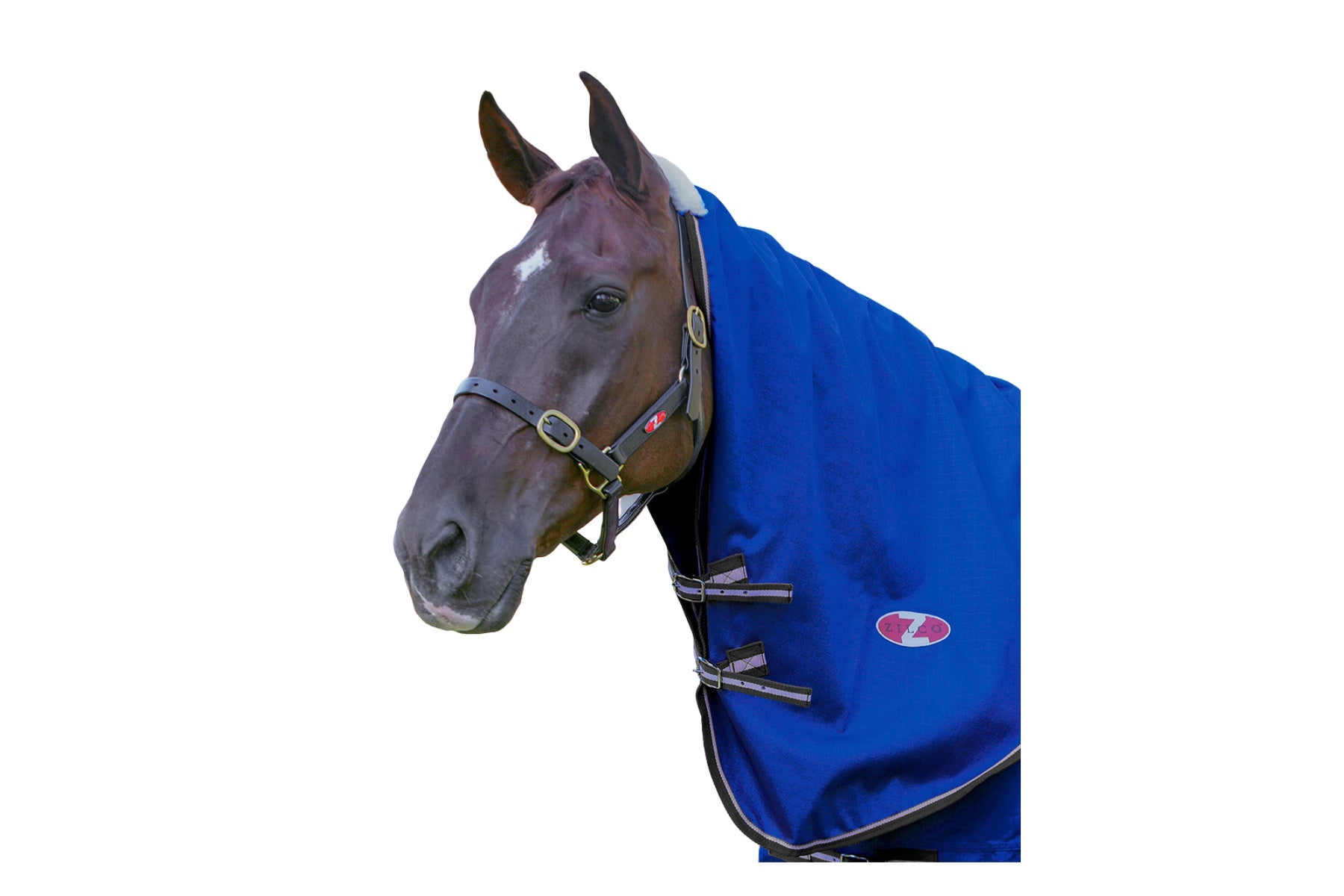 Zilco Garrison 1200d Neck Rug