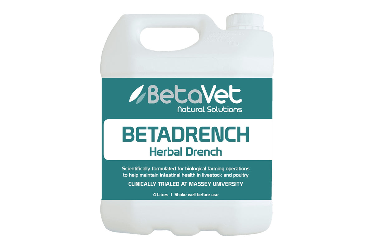 BetaVet Betadrench - 4l