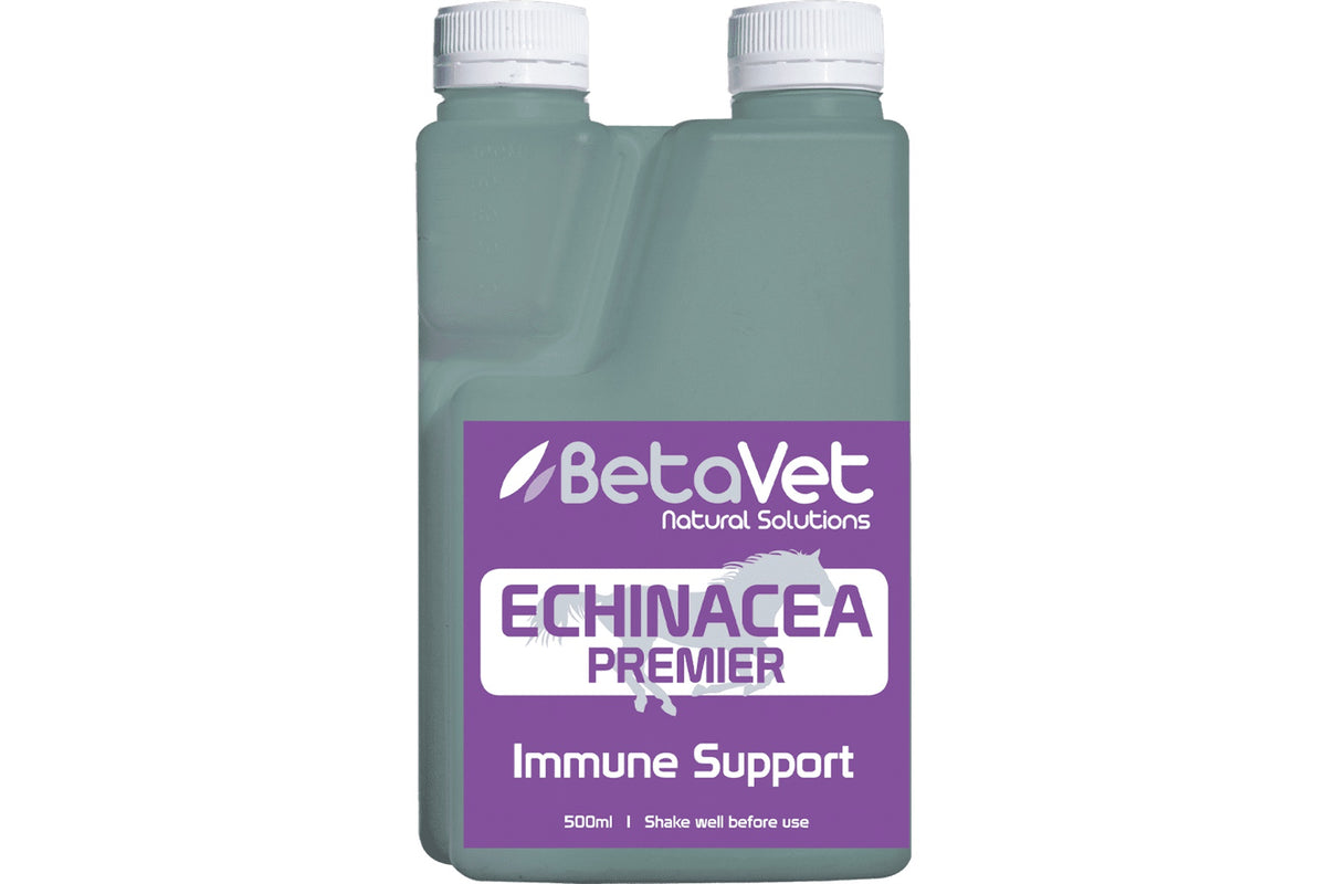 BetaVet Echinacea Premier - 500ml