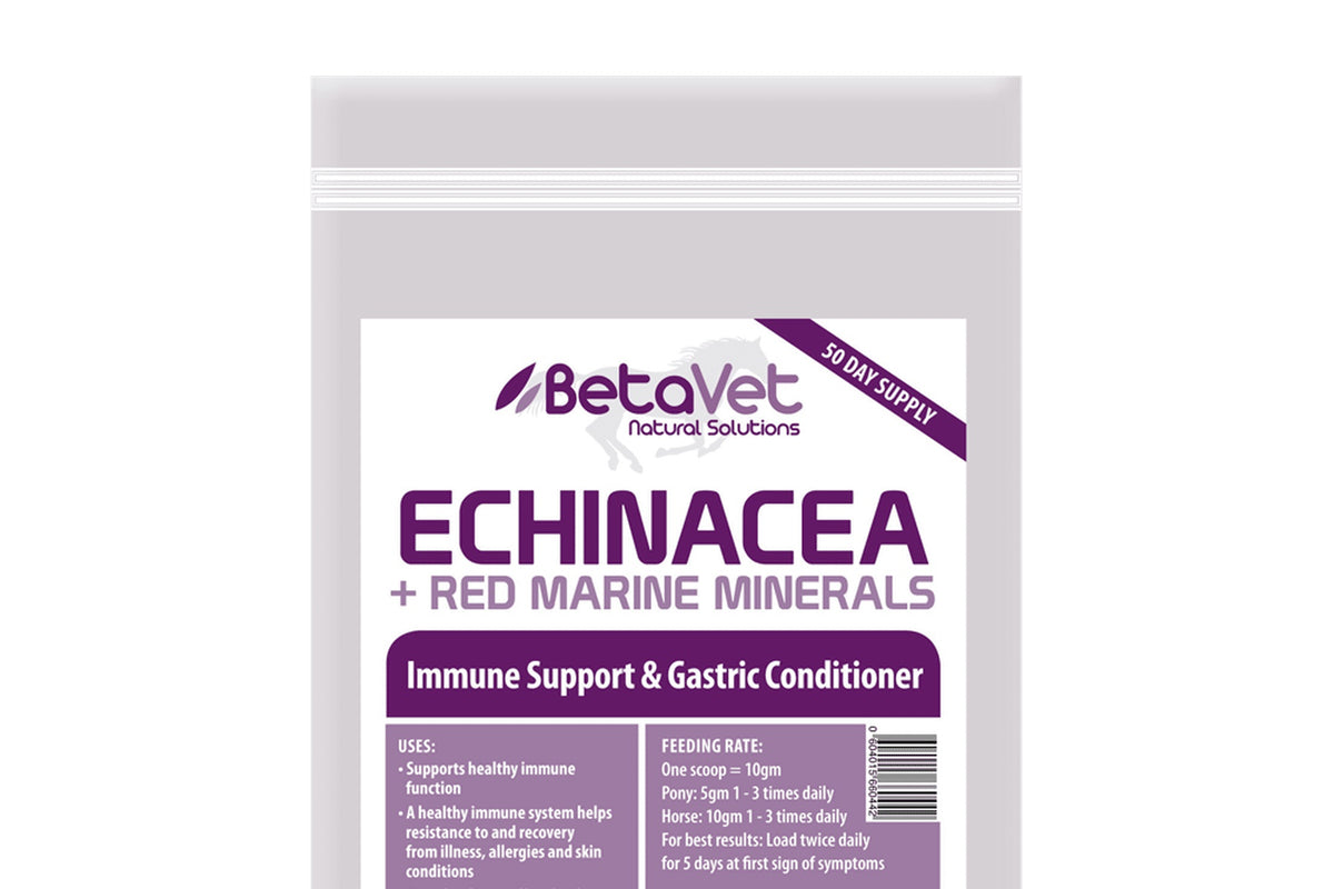 BetaVet Echinacea + Red Marine Minerals - 500ml