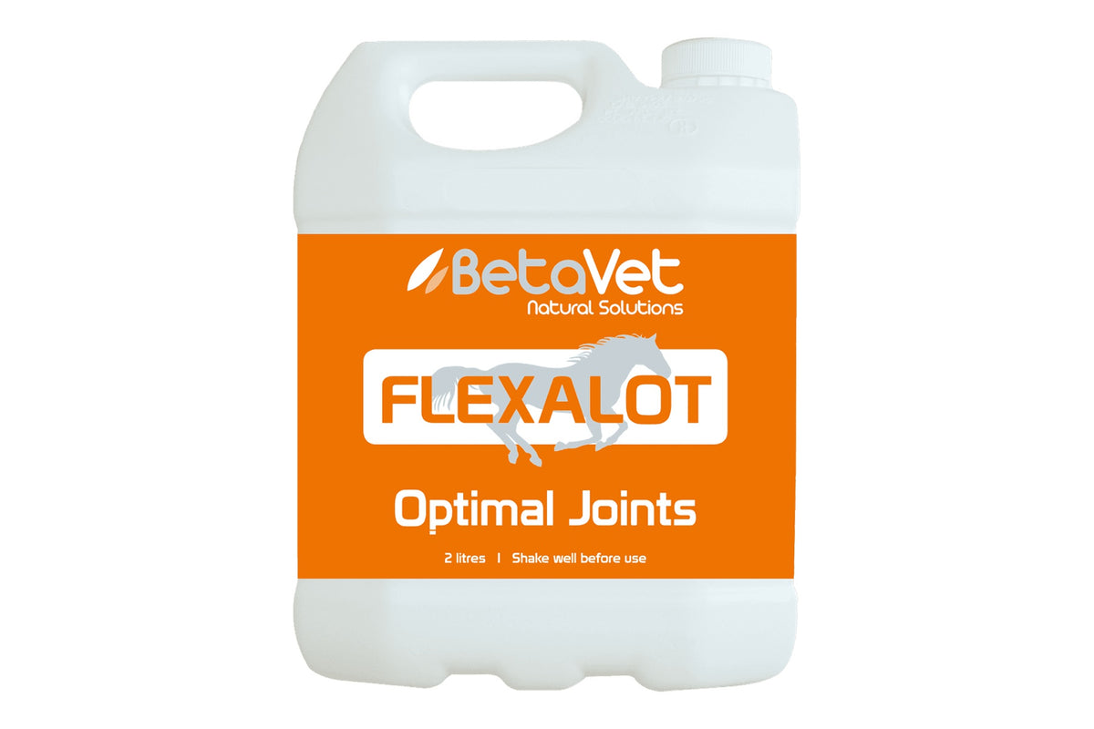 BetaVet Flexalot - 2l
