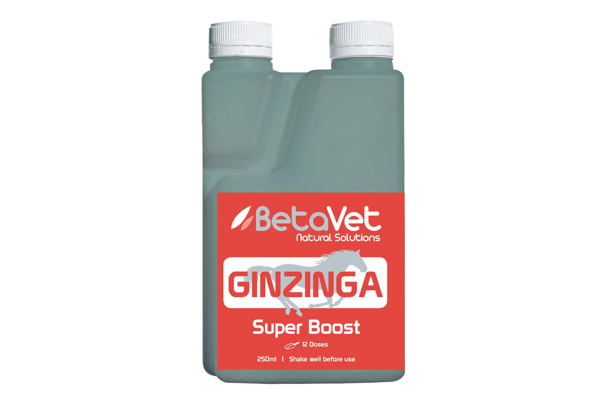 BetaVet Ginzinga - 250ml