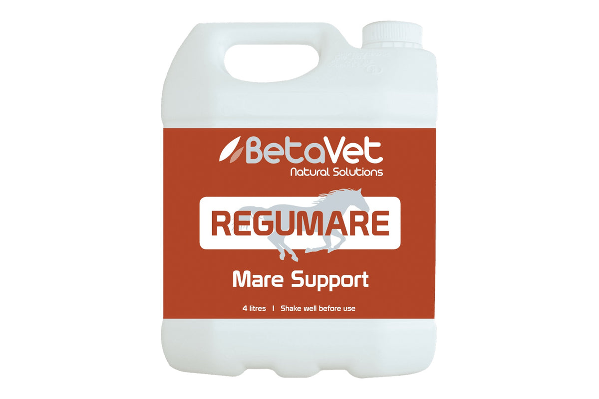 BetaVet Regumare - 4l