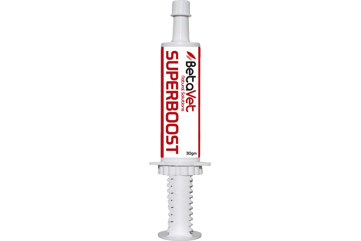 BetaVet Superboost Paste - 30gm