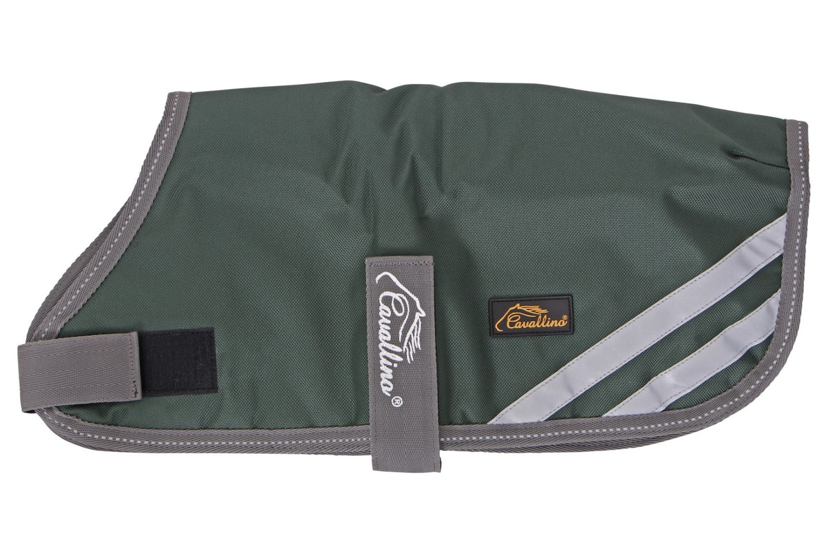 Cavallino Burghley Dog Coat
