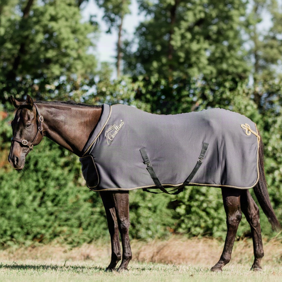 Cavallino Fleece Show Rug