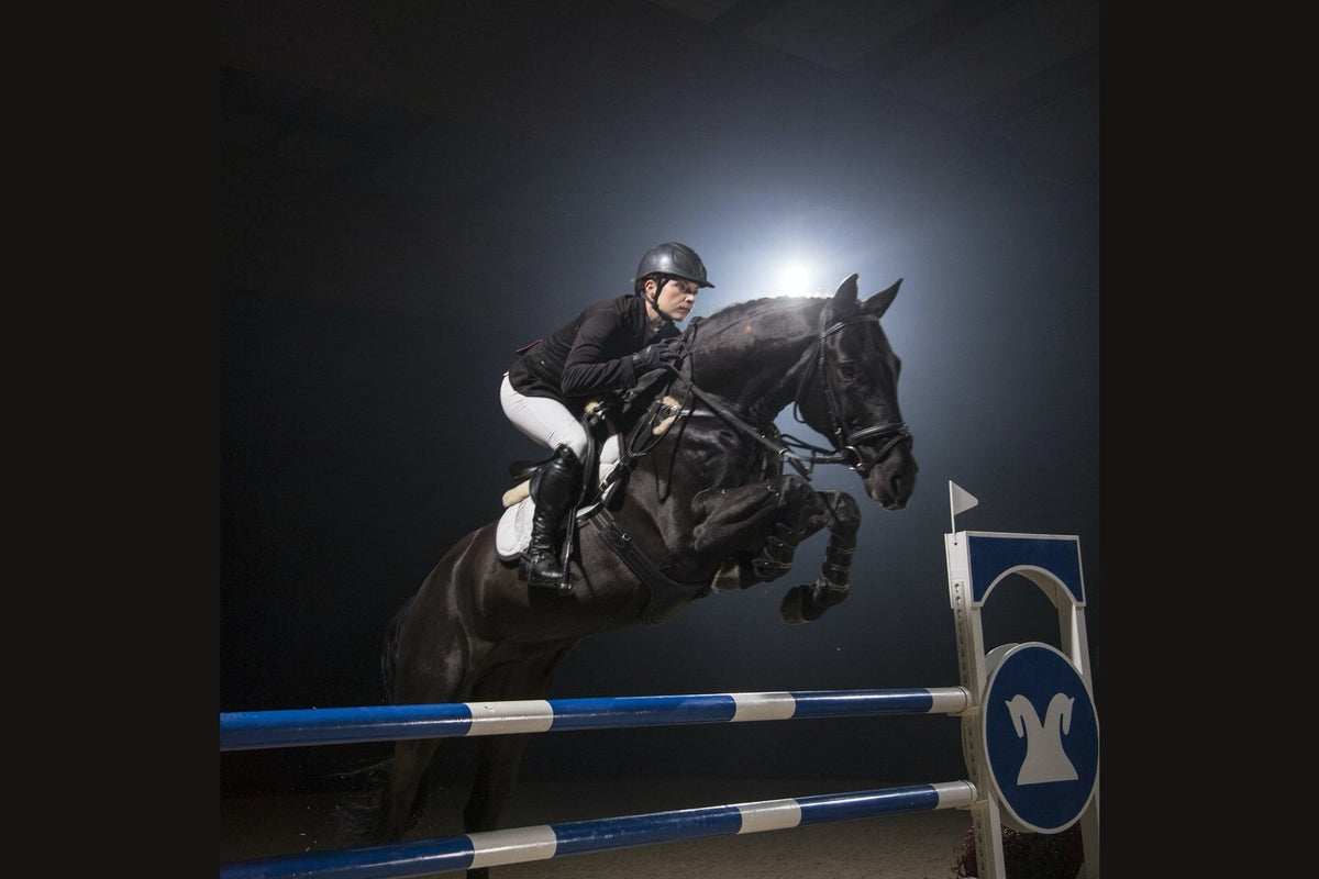 Hippo Health Braveheart - 2