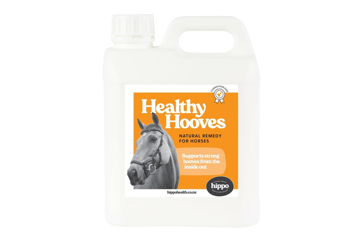 Hippo Health Healthy Hooves - 2L Front