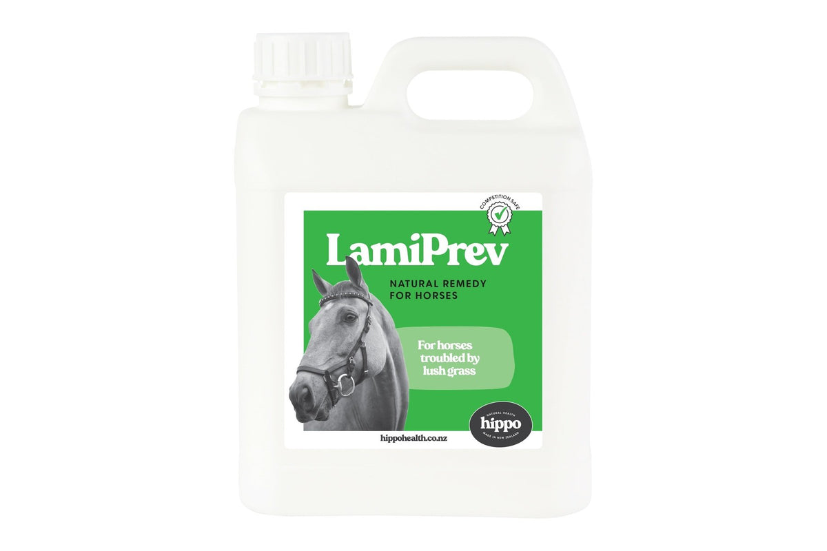 Hippo Health LamiPrev for horses prone to laminitis - 2L Front