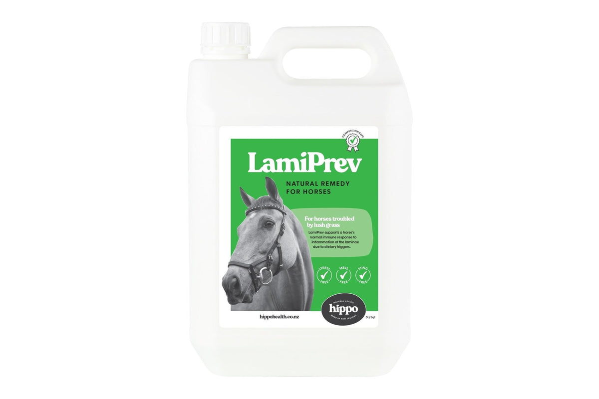 Hippo Health LamiPrev for horses prone to laminitis - 5L Front