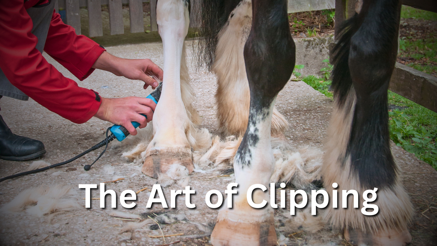 The Art of Clipping