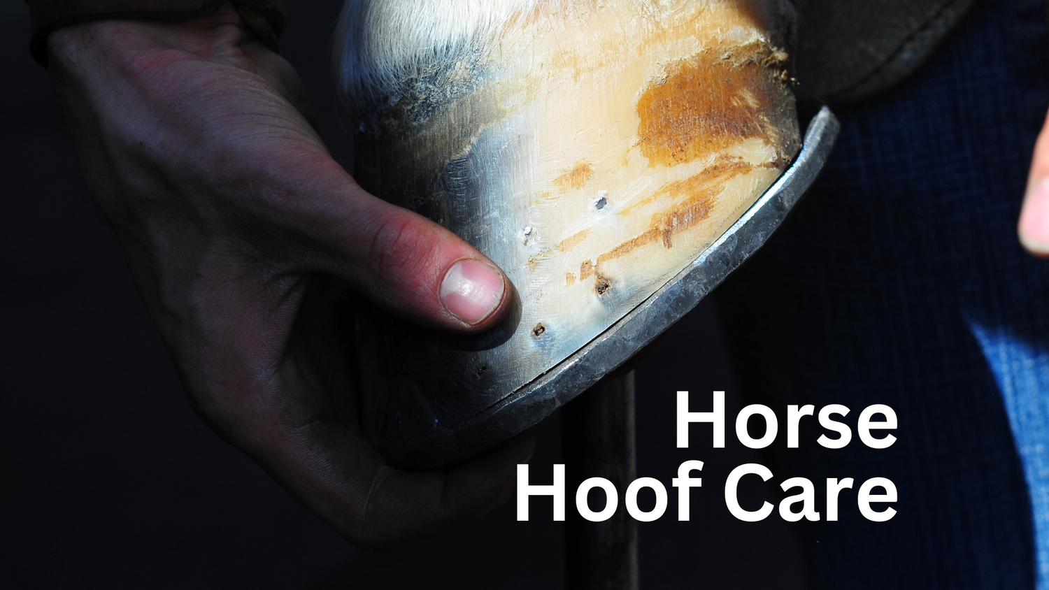 A Helpful Guide to Horse Hoof Care