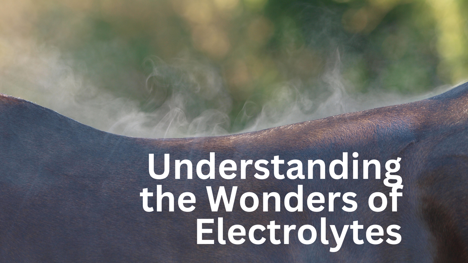 Understanding the Wonders of Electrolytes (3 min read)