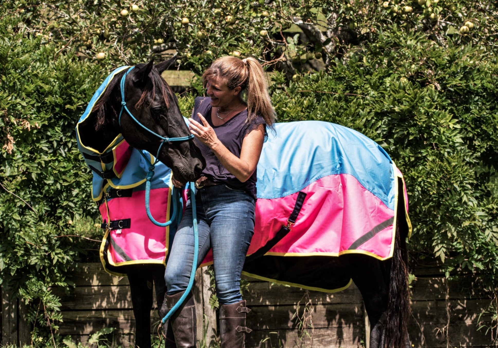 How I choose horse covers - @nzmares
