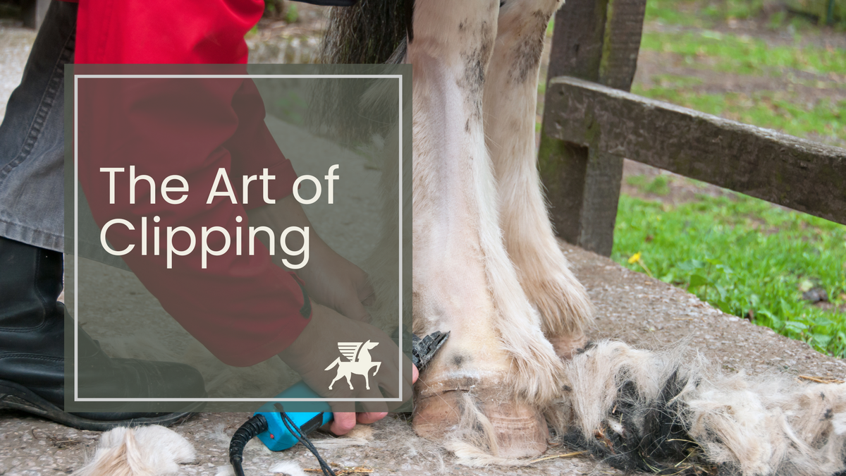 The Art of Clipping