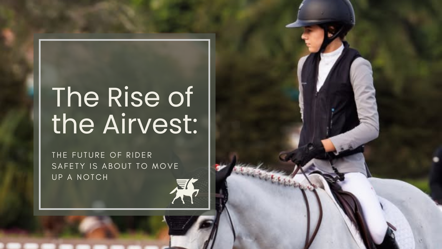 The Rise of the Airvest - Horse Riding Body Protectors Level Up