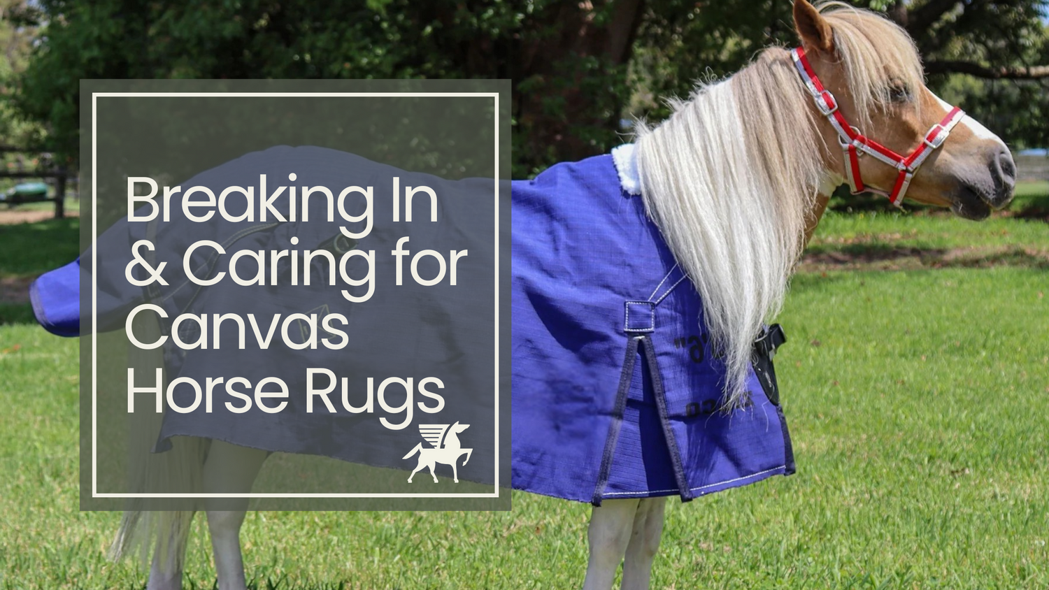 Breaking In and Caring for Canvas Horse Rugs