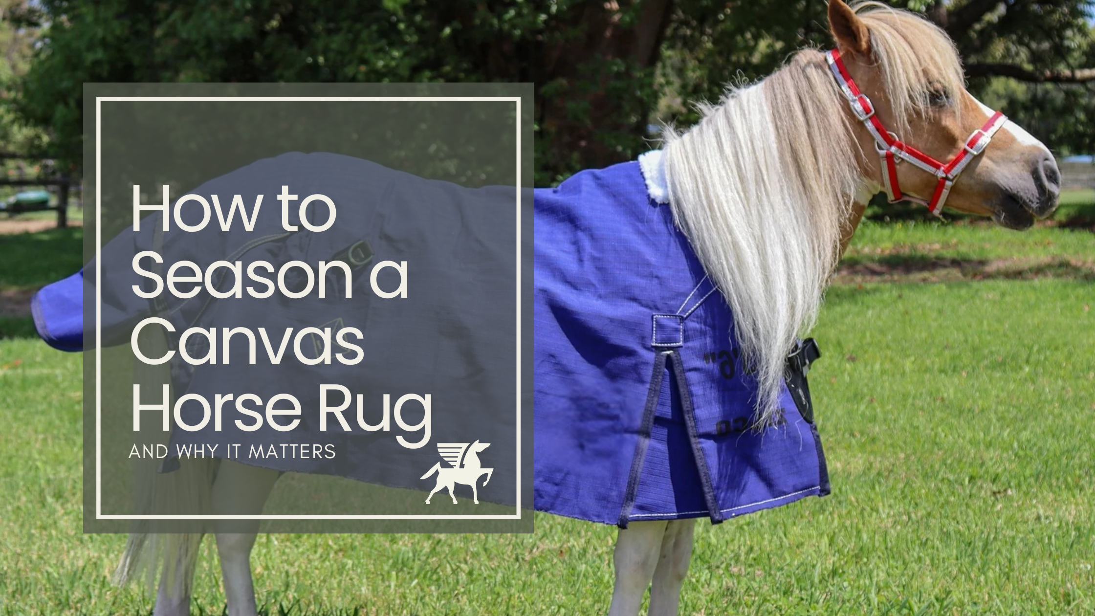 How to Season a Canvas Horse Rug (and Why It Matters)