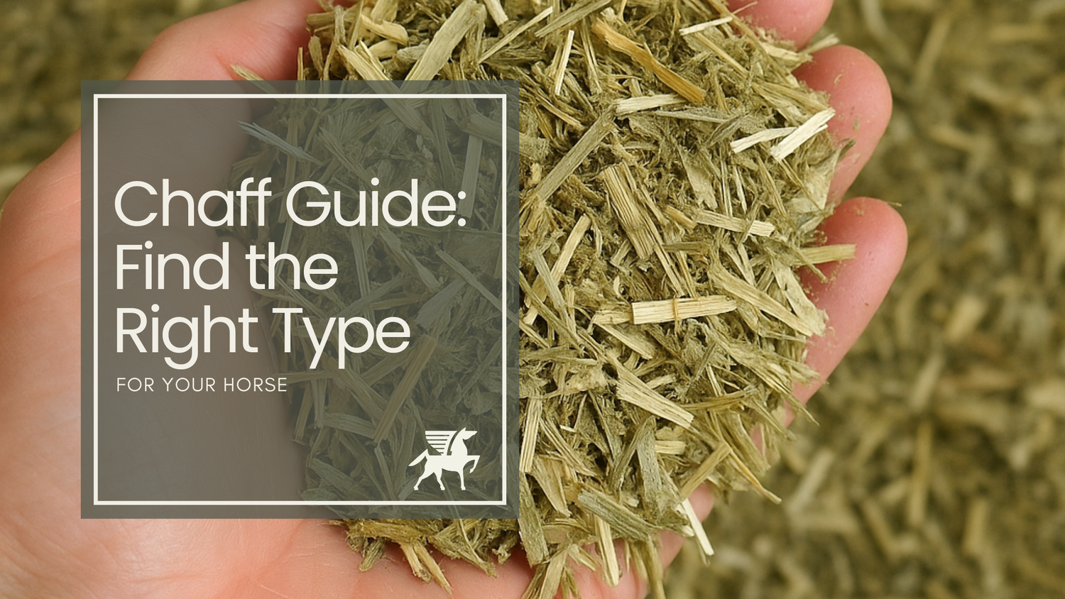 Chaff: A Simple Guide to Choosing the Right Type for Your Horse