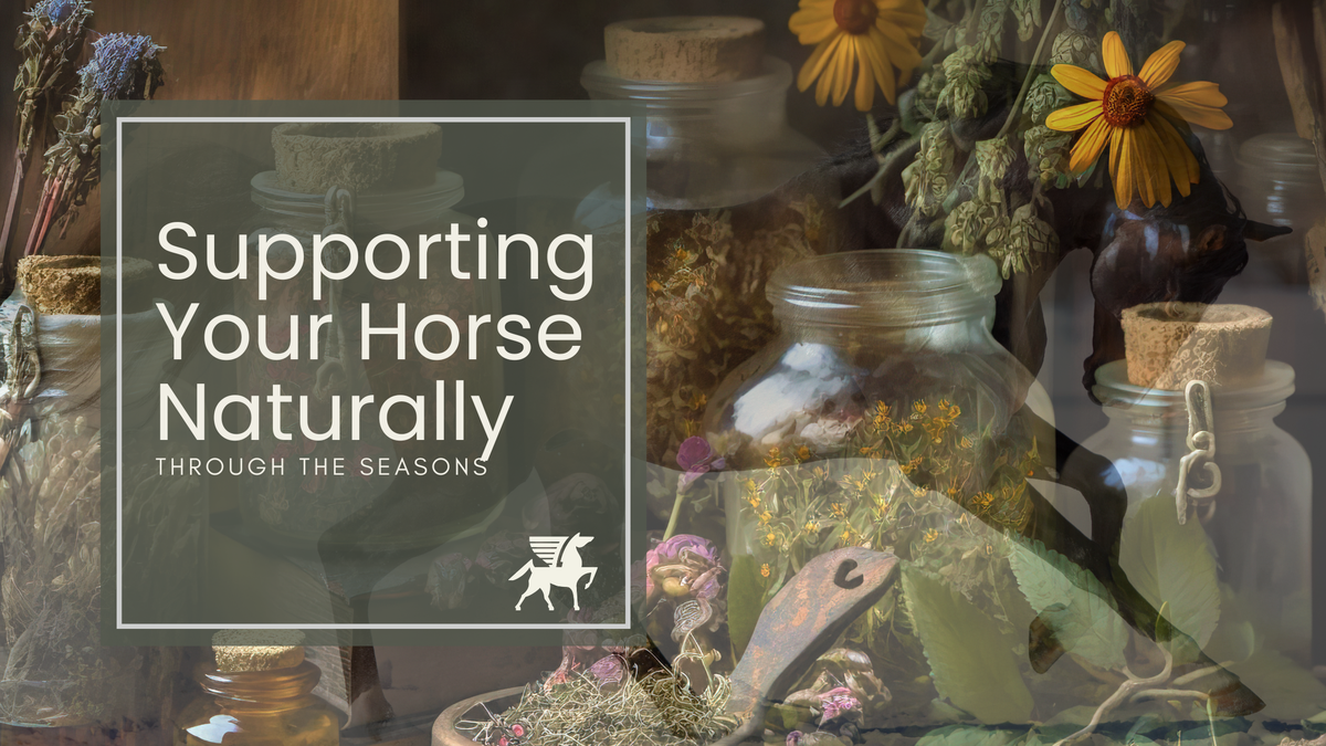 Supporting Your Horse Naturally, with Herbs for Horses