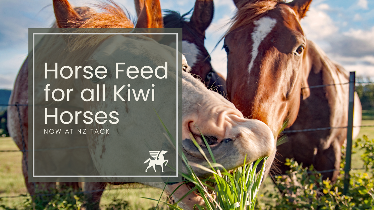 Horse Feed for all Kiwi Horses now at NZ Tack