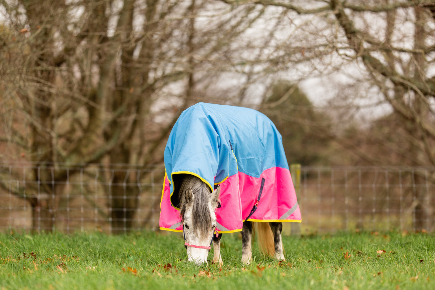 What to consider when rugging your horse