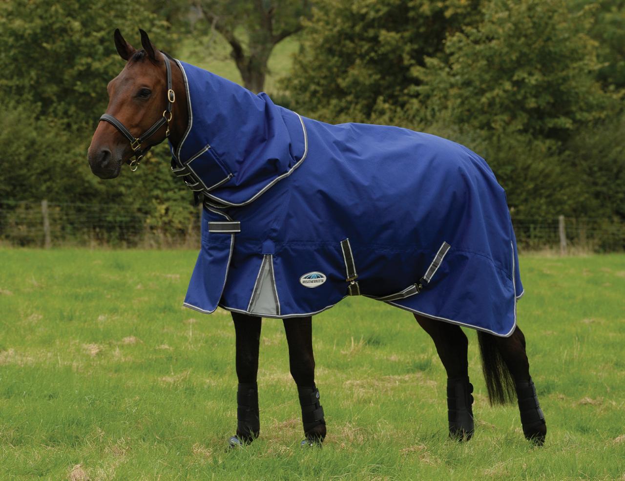 Which Weatherbeeta Horse Rug? A Guide to Rug Fits & Seasons