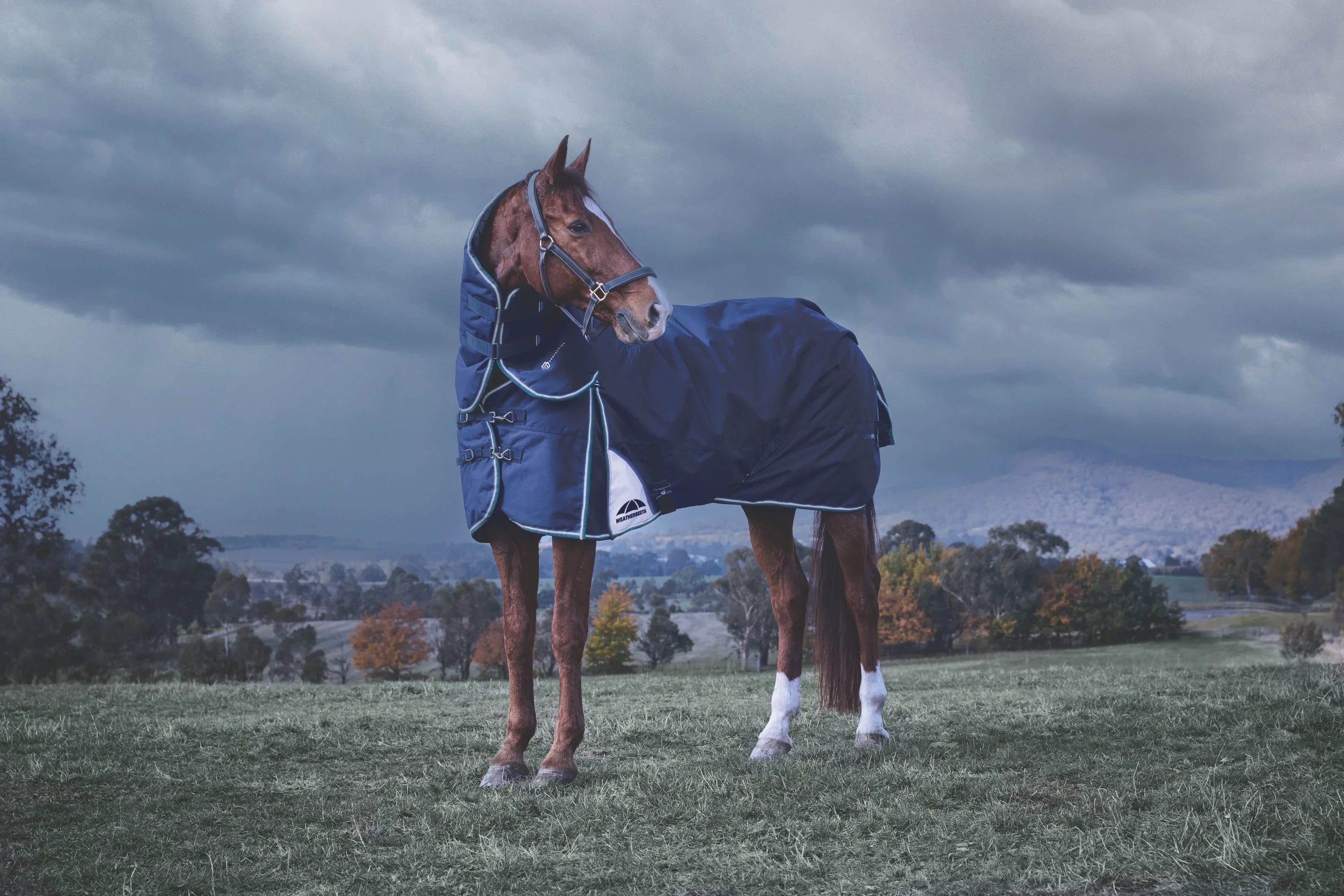 Weatherbeeta Winter Rugs and Covers