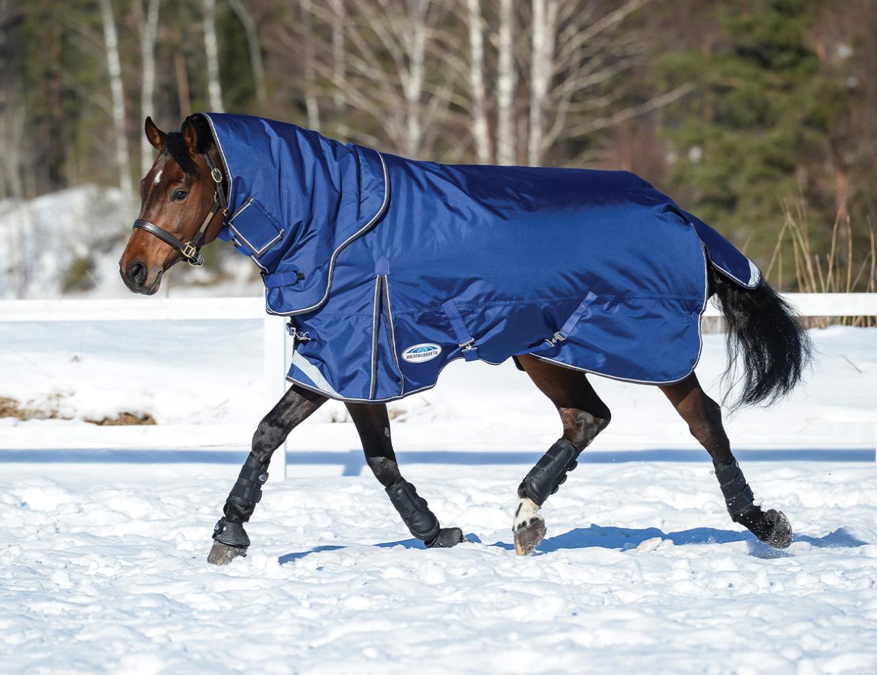 Heavy Turnout Horse Rugs