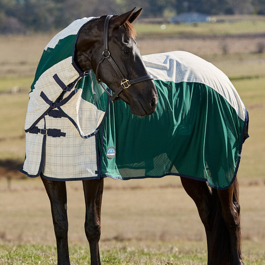 Cotton Sheet Horse Turnout Rugs