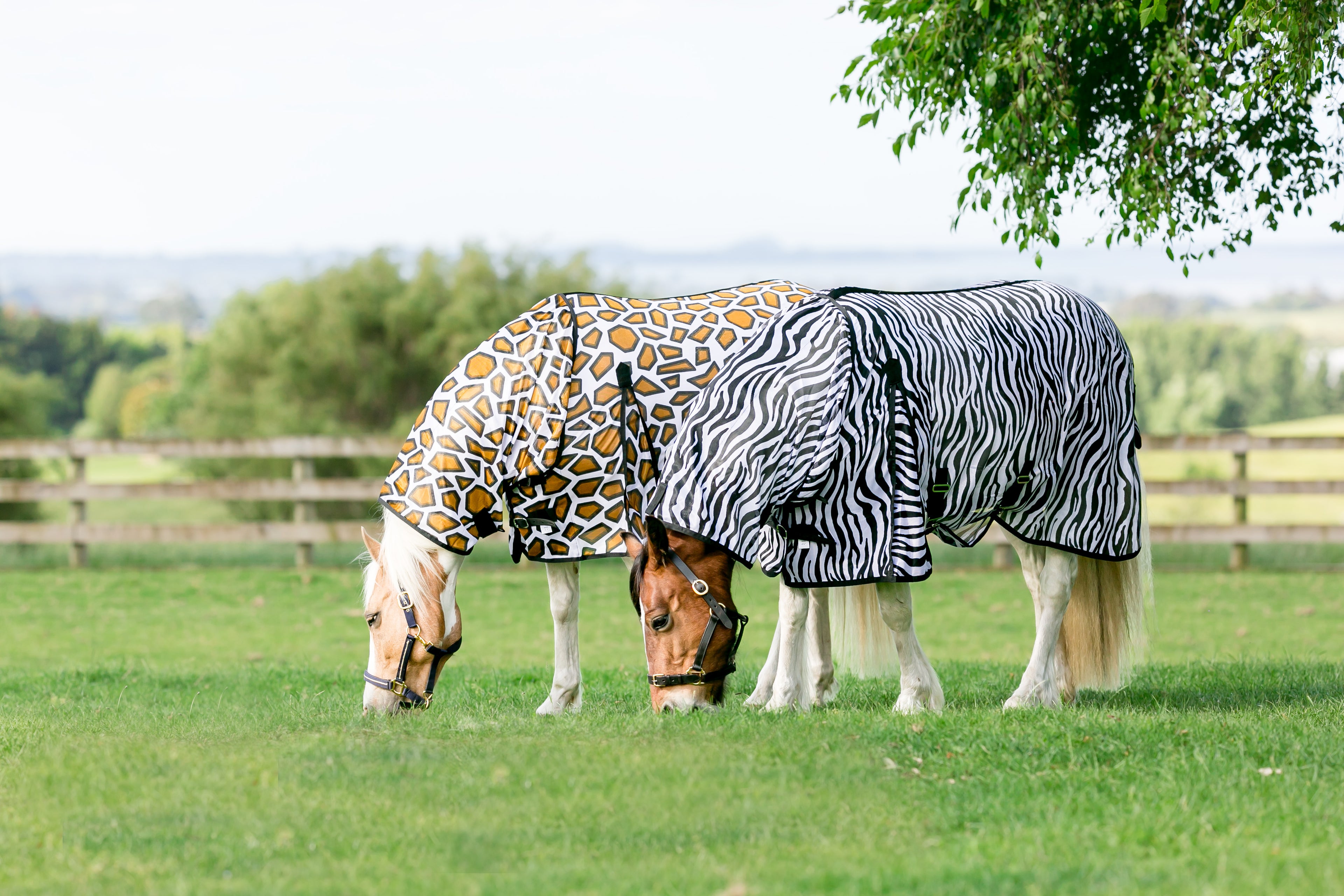 Fly Protection for Horses