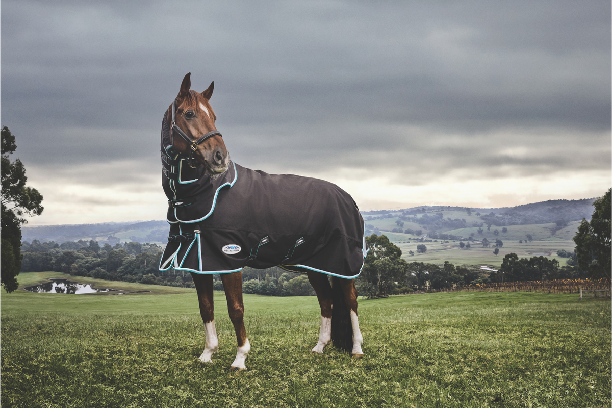 Weatherbeeta Horse Rugs, Saddle Pads & Accessories | NZ Tack Saddlery ...