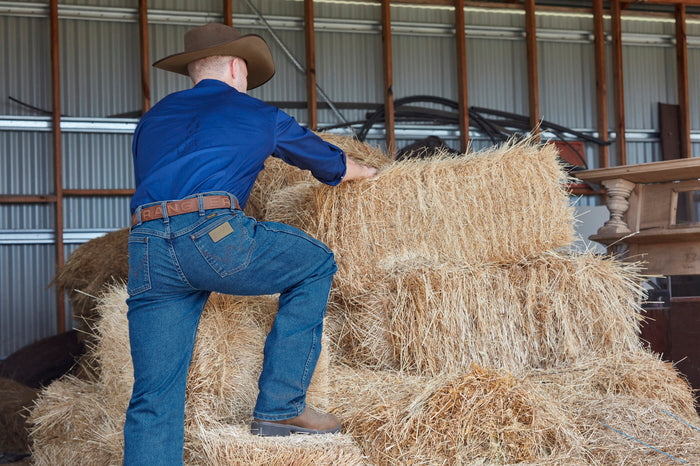 Wrangler Belts