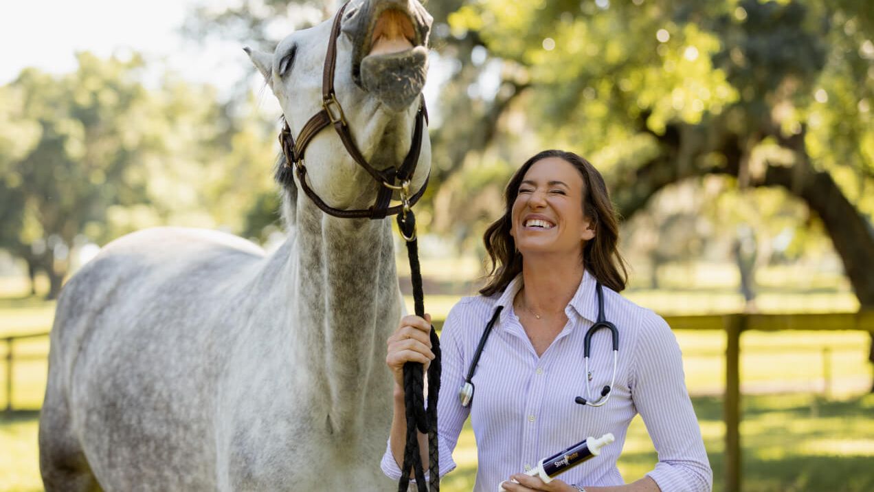 Equine Supplements