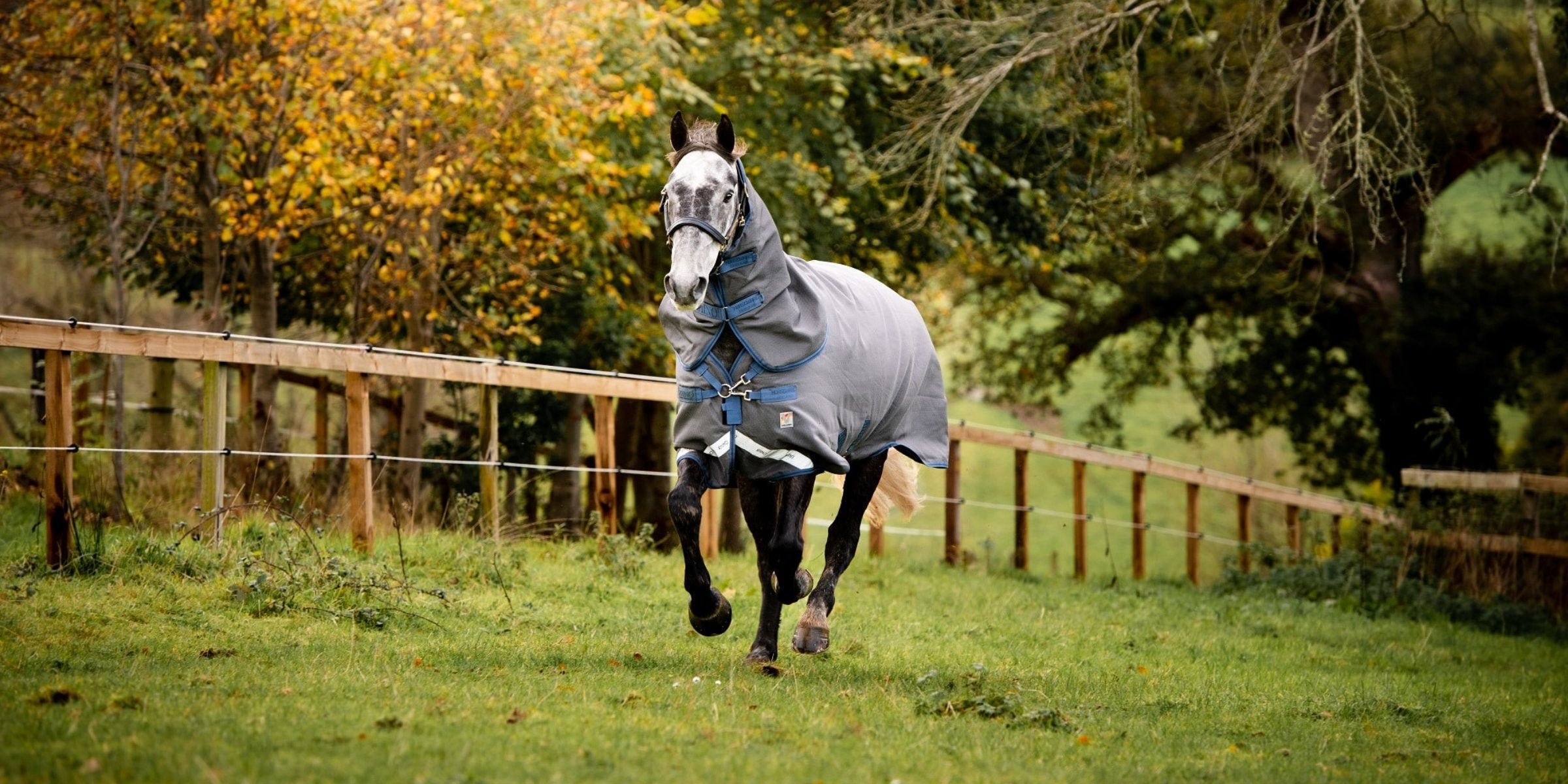 Horseware Ireland - Rhino