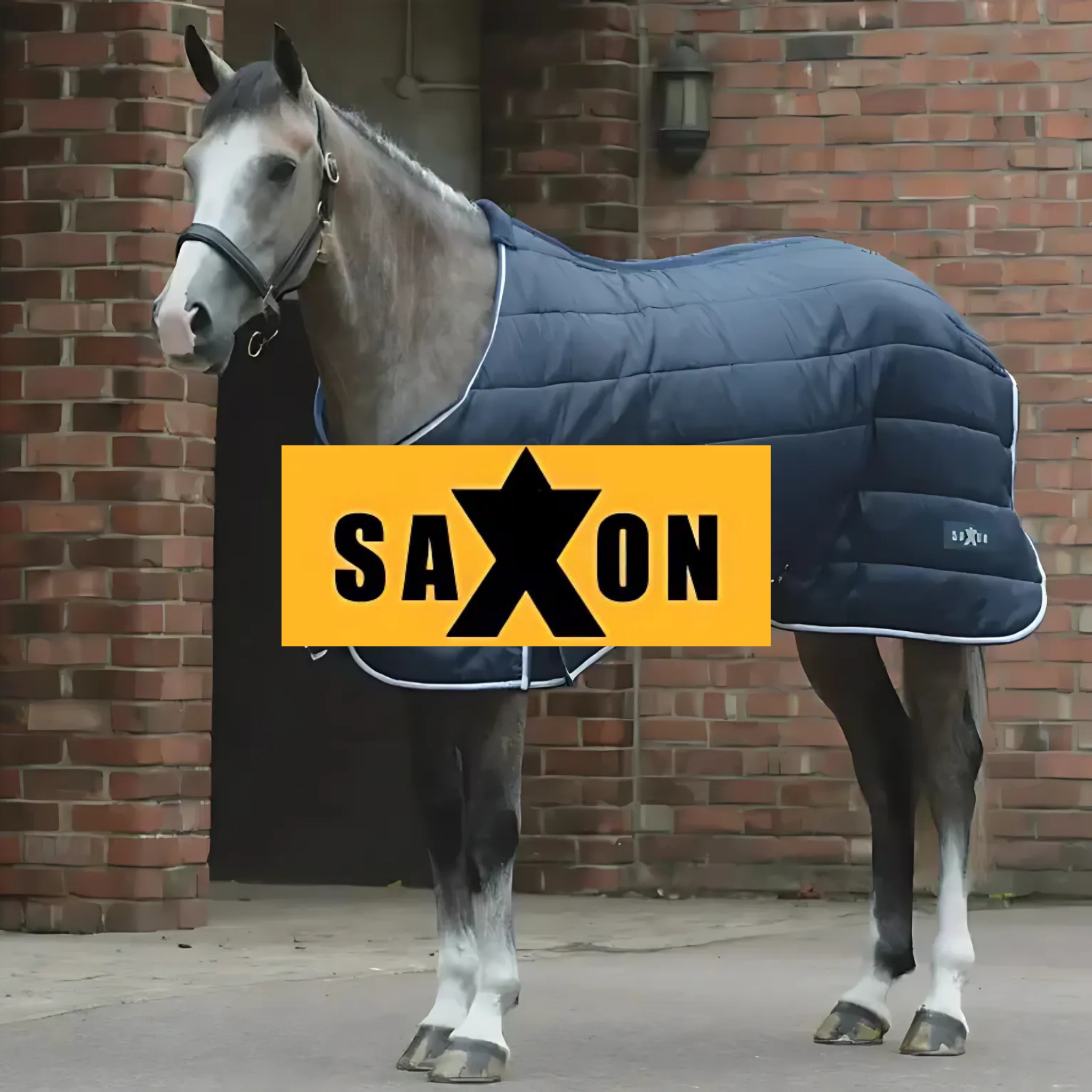 Saxon