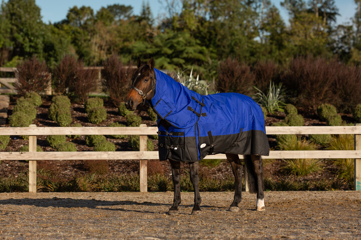NZ Tack Sale