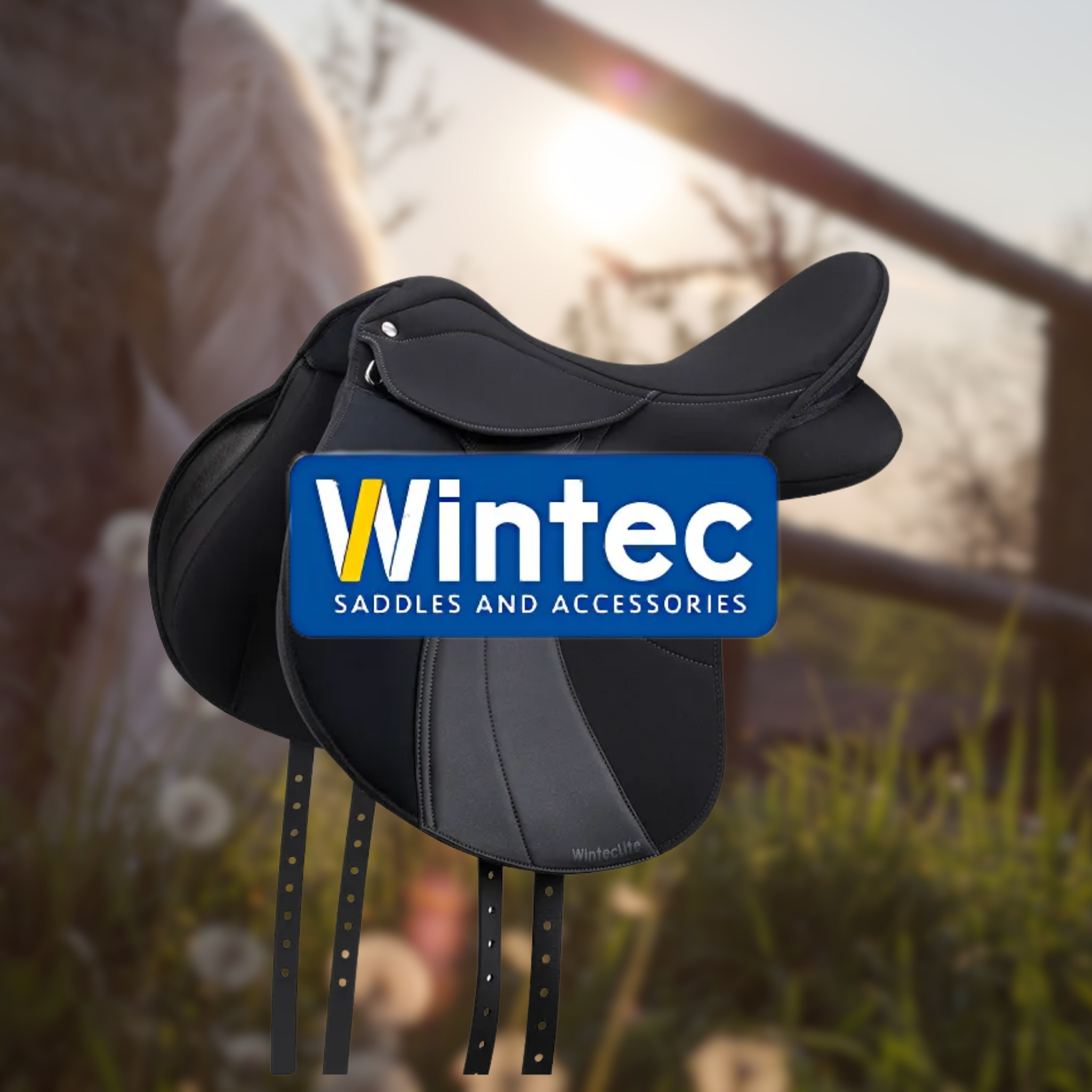 Wintec Saddles, Girths & Stirrup Leathers