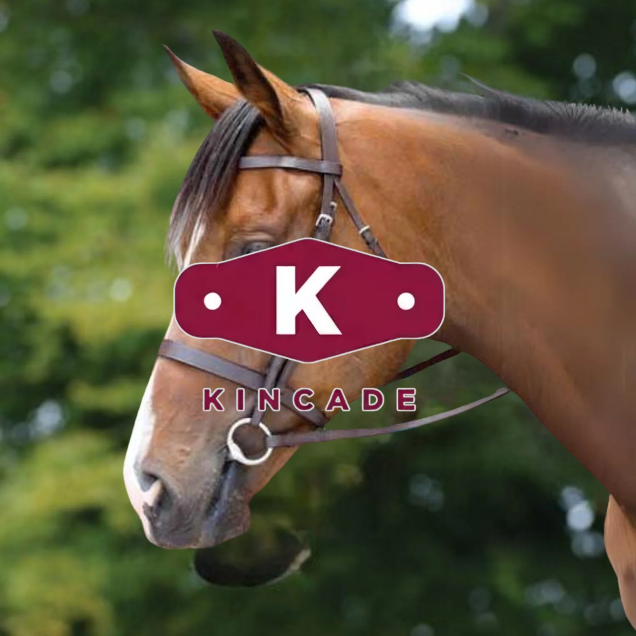 Kincade