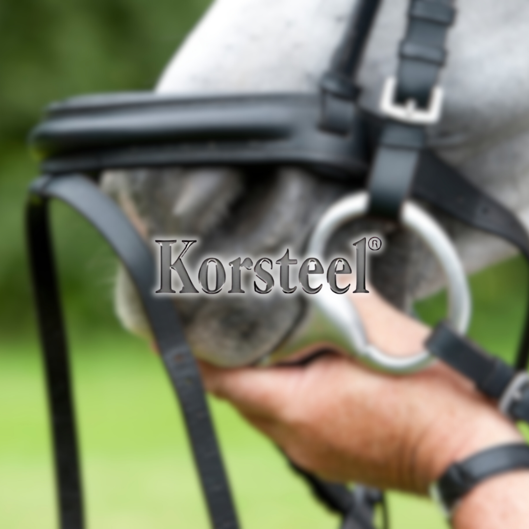 Korsteel