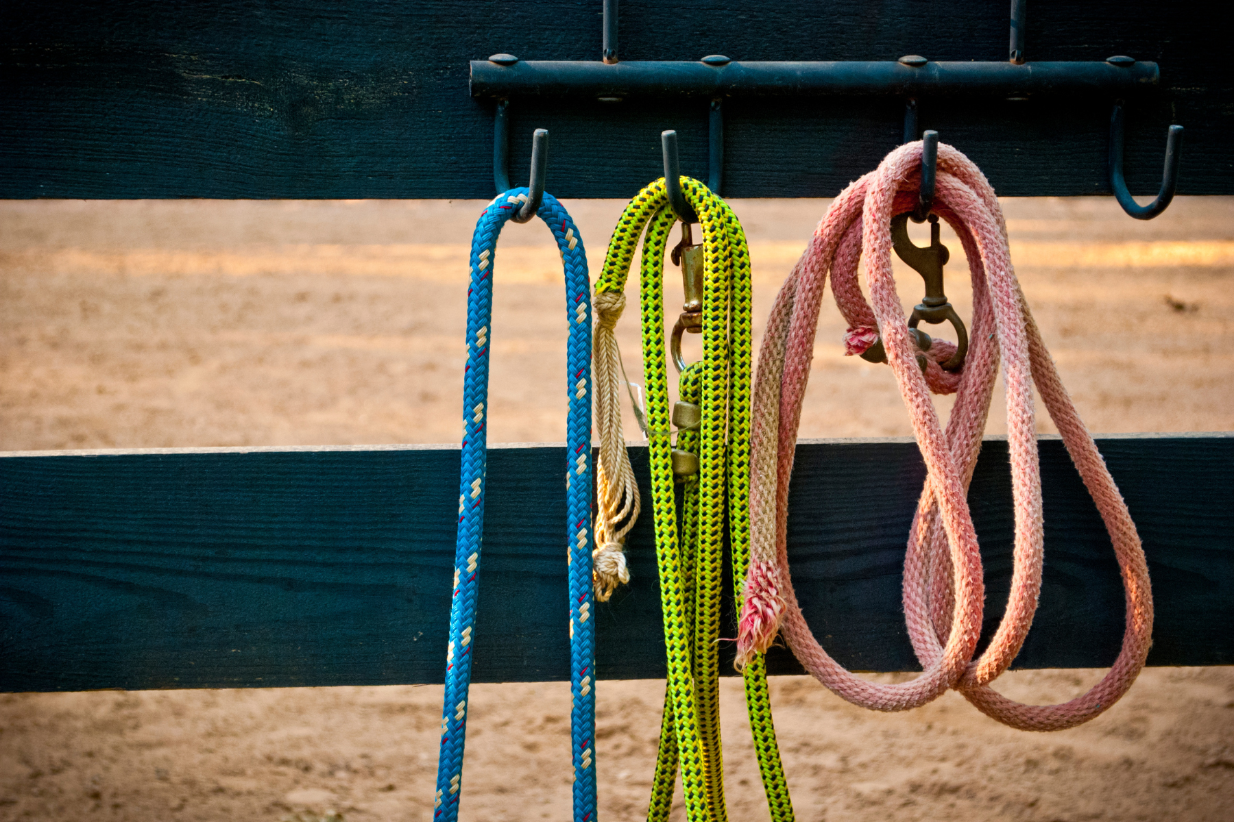 Horse Leads