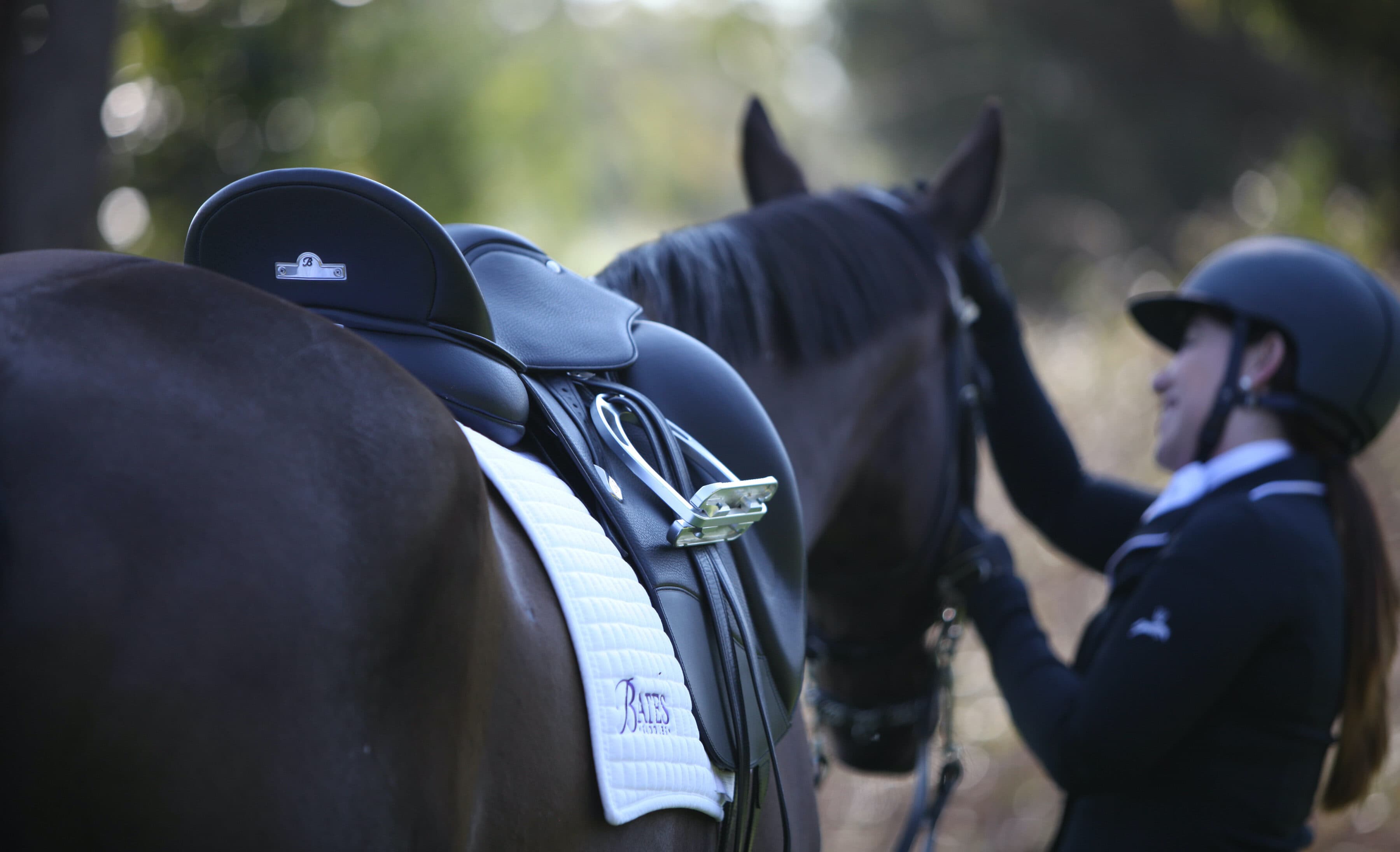 All Saddles – Bates, Wintec, Collegiate, Pessoa, Cavallino, Flair & Trainers