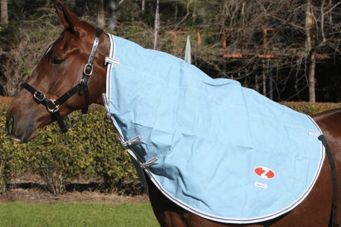 Canvas Neck Rugs