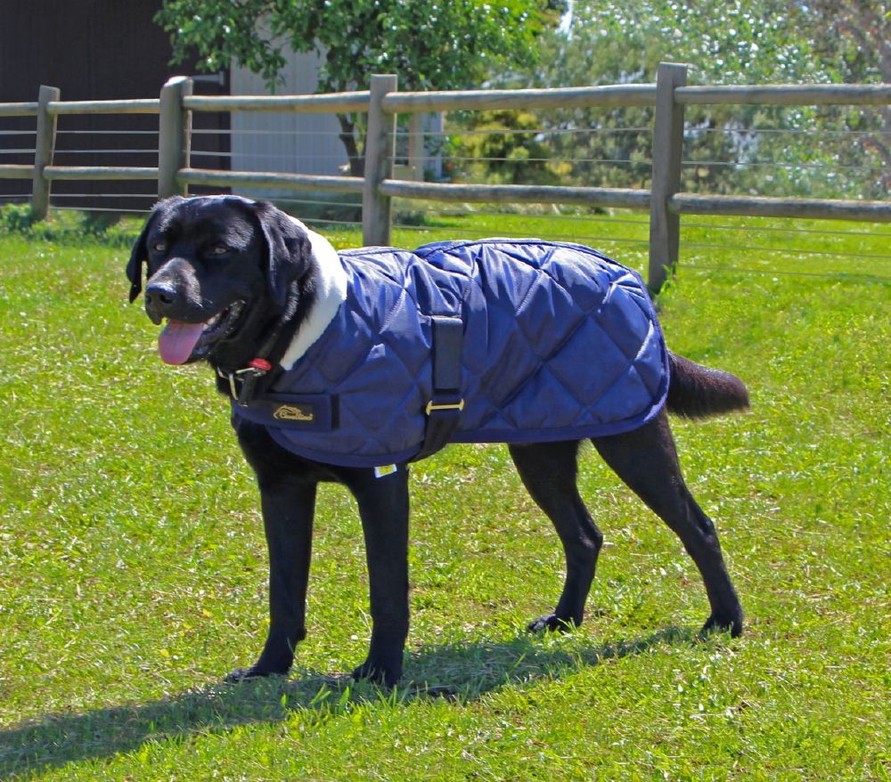 Quilted Dog Coats